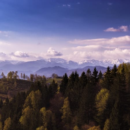 6-Day Central Romania Tour with Brașov Hikes and Bear Sanctuary