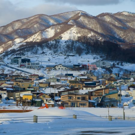 6-Hour Sapporo Highlights Tour with Candy-Making and Ski Jump Views