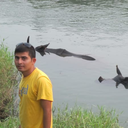 10-Day Nepal Highlights Tour with Chitwan Safari and Lumbini