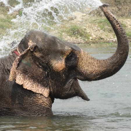 10-Day Nepal Sightseeing Tour with Chitwan Safari and Lumbini