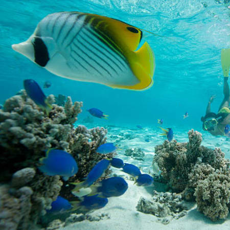 10-Hour Sian Ka'an Biosphere Reserve Tour with Boat and Snorkelling