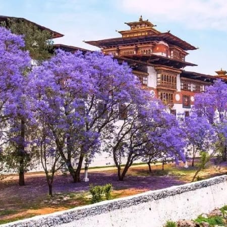 10-Day Nepal and Bhutan Luxury Tour with Tiger's Nest and Chitwan