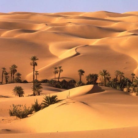 7-Day Egypt Tour of Cairo, Bahariya Oasis and the White Desert