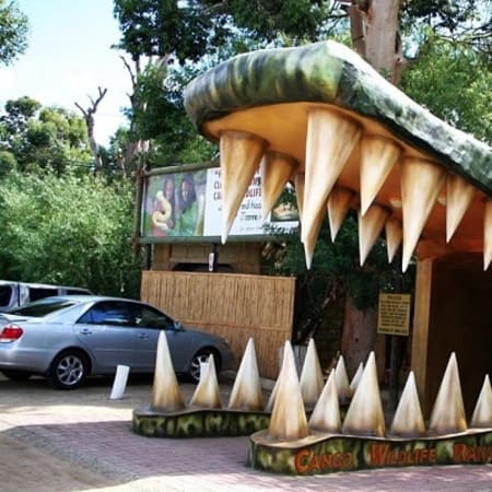 9-Hour Oudtshoorn Highlights Tour from George via Outeniqua Pass