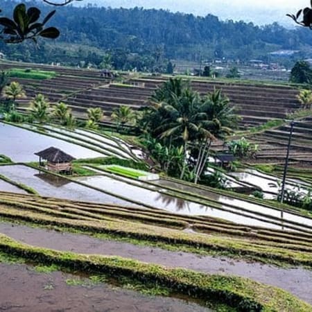 4-Day Village Tour from Labuan Bajo to Kelimutu and Maumere