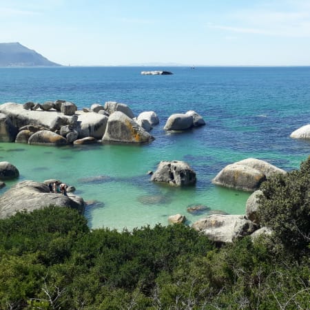 Full-Day Cape Town and Cape Peninsula Tour with Penguins and Views