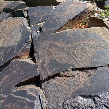 8-Hour Tamgaly Rock Art Tour from Almaty with UNESCO Petroglyphs
