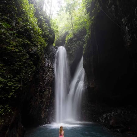 8-Hour Bali Temple and Nature Tour with Lovina and Banjar Hot Springs