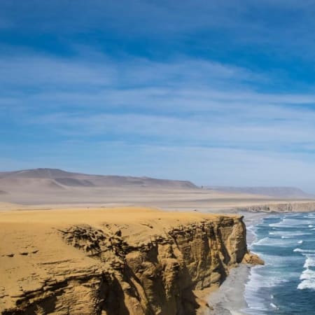 Excursión de 1 día a Paracas y Huacachina con Islas Ballestas