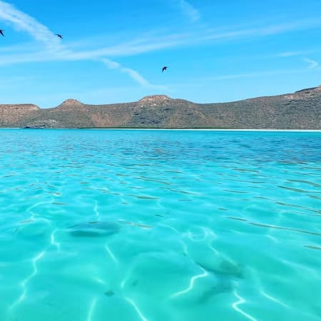 7-Hour Espíritu Santo Island Tour from La Paz with Sea Lions and Lunch