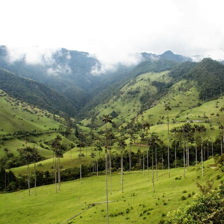 12-Day Colombia Coffee Axis Tour with Bogotá and Los Nevados