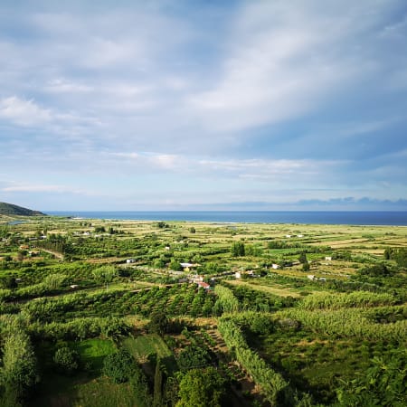 5-Hour Sardinia Hidden Gems Tour with Food, Wine and Archaeology