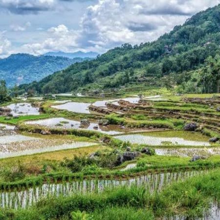 4 jours aux pays Toraja avec rites funéraires et villages traditionnels