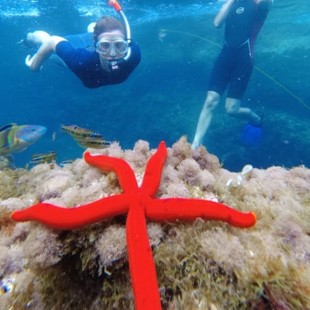 Tour di 2 ore di snorkeling alle Isole Ciclopi vicino Catania