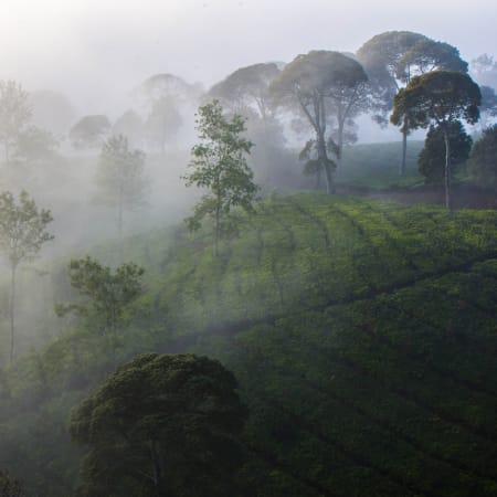 2-Day Bandung Tour from Jakarta with Volcano Hot Spring and Shopping