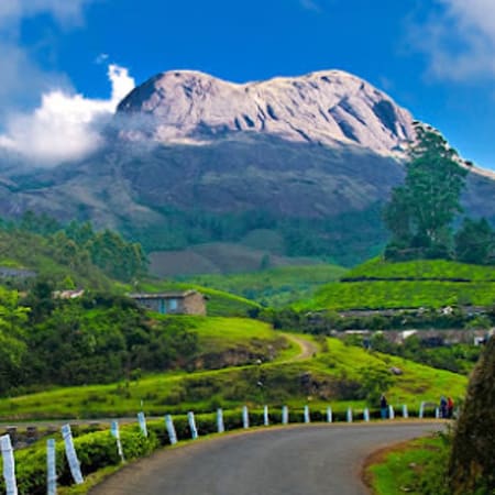 9-Day South India Hill Stations Tour with Ooty, Munnar and Cochin