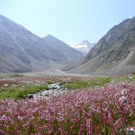 7-Day Himachal Pradesh Tour from Shimla through Spiti Valley