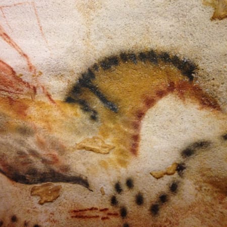 7-Hour Prehistoric Cave Tour in Dordogne with Lascaux and Rouffignac