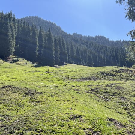 10-Day Northern Xinjiang Scenic Adventure Tour with Kanas and Nalati