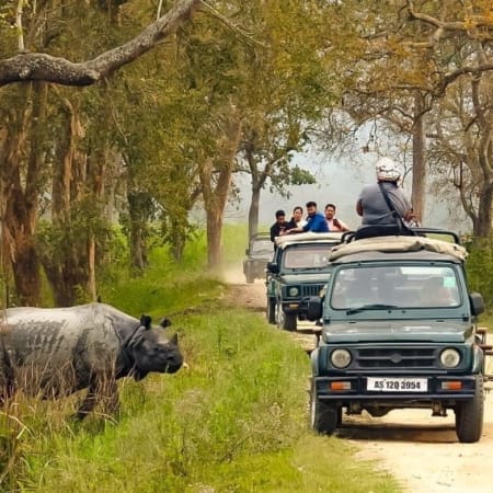 9-Day Assam Wildlife Photography Tour with Manas Nameri and Kaziranga