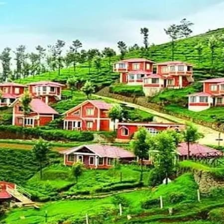 4-Day Bangalore Mysore and Ooty Tour with Tea Gardens and Palaces