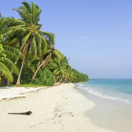 10-Day India Tour through Delhi, Agra, Andaman Islands and Kerala