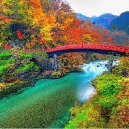 10-Hour Nikkō Private Tour from Tokyo with Tōshō-gū and Kegon Falls