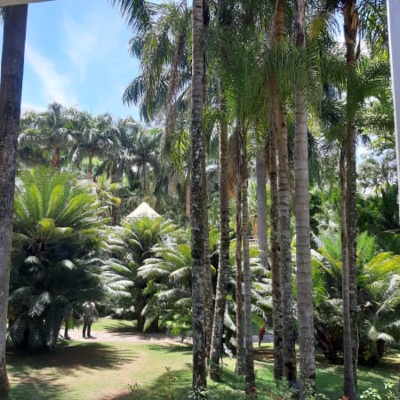 1 Dia de Visita ao Instituto Inhotim com Arte e Jardim Botânico