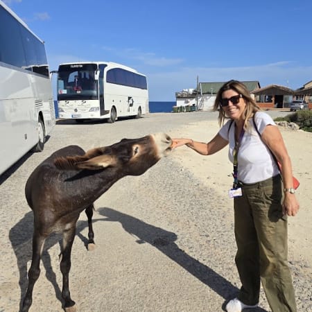 8-Hour Karpas Peninsula Church and Beach Tour with Apostolos Andreas