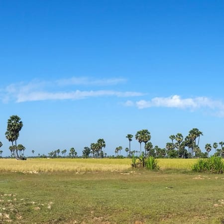 4-Hour Countryside Bike Ride in Siem Reap with Village Stops