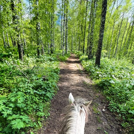 6-Hour Horseback Riding Tour in Ile-Alatau National Park