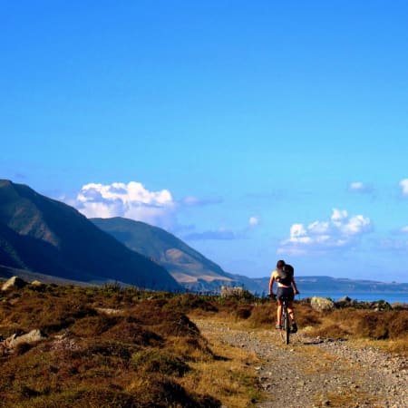 3-Day Remutaka Cycle Tour from Welligton