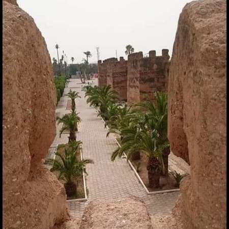 1-Day Cultural Tour of Taroudant and Tiout Oasis with Lunch