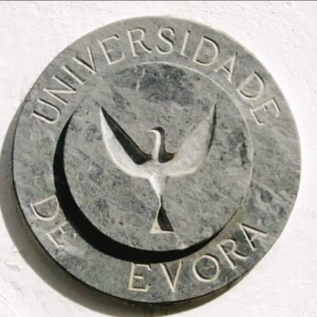 3-Hour Private Walking Tour of Évora with Chapel of Bones