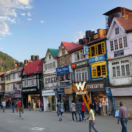 6-Hour Dharamshala and McLeodganj Tour with Tea Plantation Visit