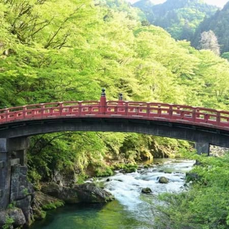 10-Hour Nikko Cultural and Natural Wonders Tour from Tokyo