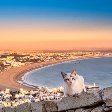 8-Day Morocco Adventure Tour with Sahara Camp and Atlantic Coast