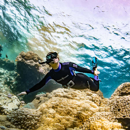 4-Hour Snorkelling Tour of Ras Mohamed National Park from Sharm
