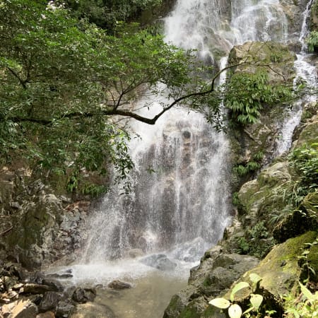 7-Hour Minca Coffee Tour with Marinka Waterfalls and Cocoa Experience