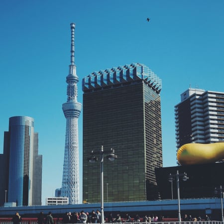 5-Hour Tokyo Three Towers Tour with Skyline Views and Mount Fuji