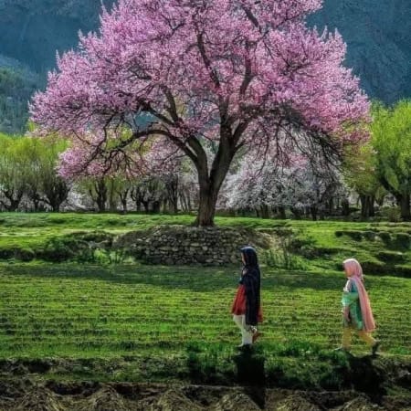9-Day Pakistan Adventure through Hunza and Khunjerab Pass
