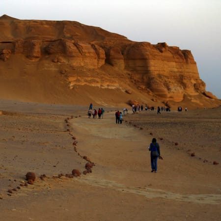 15-Hour Wadi Al Hitan Tour from Cairo with Whale Fossils Museum