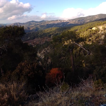 8-Hour Troodos Mountains Tour from Limassol with Omodos Wine Tasting