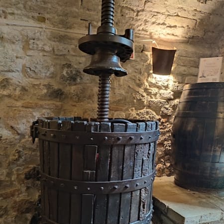 2-Hour San Gimignano Walking Tour with Cathedral and Wine Museum