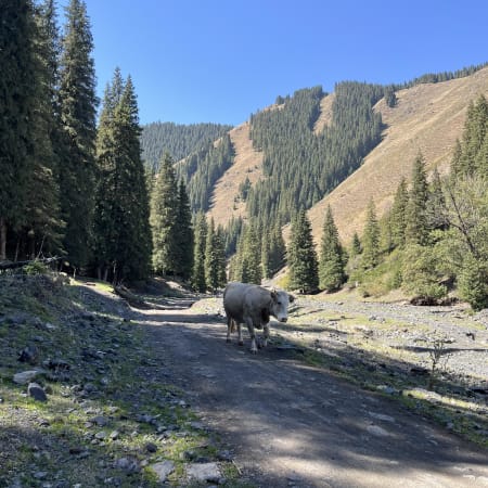 10-Day Northern Xinjiang Scenic Adventure Tour with Kanas and Nalati