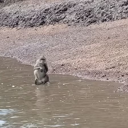 3-Hour Langkawi Mangrove Boat Tour with Caves and Geopark Coastline
