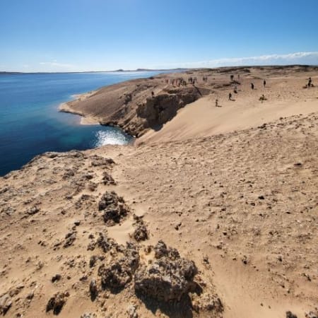 5-Hour Ras Mohammed National Park Snorkelling Tour from Sharm el-Sheikh