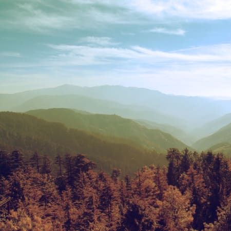 5-Day Chopta Chandrashila Trek from Rishikesh with Rafting