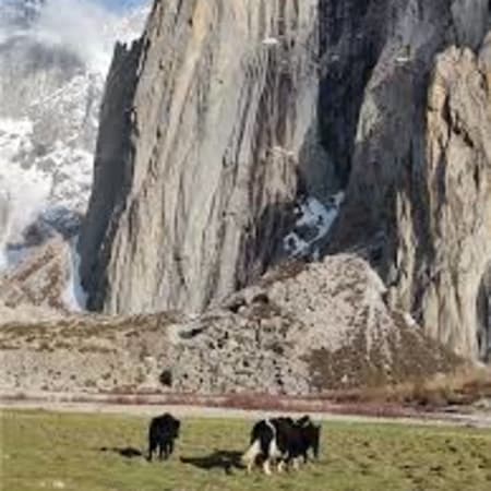11-Day Nangma Valley and Mashabrum Basecamp Trek in Baltistan