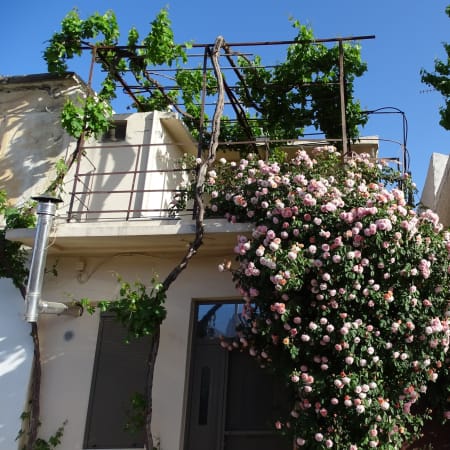 8-Hour Crete Discovery Tour with Zeus Cave and Olive Oil Tasting